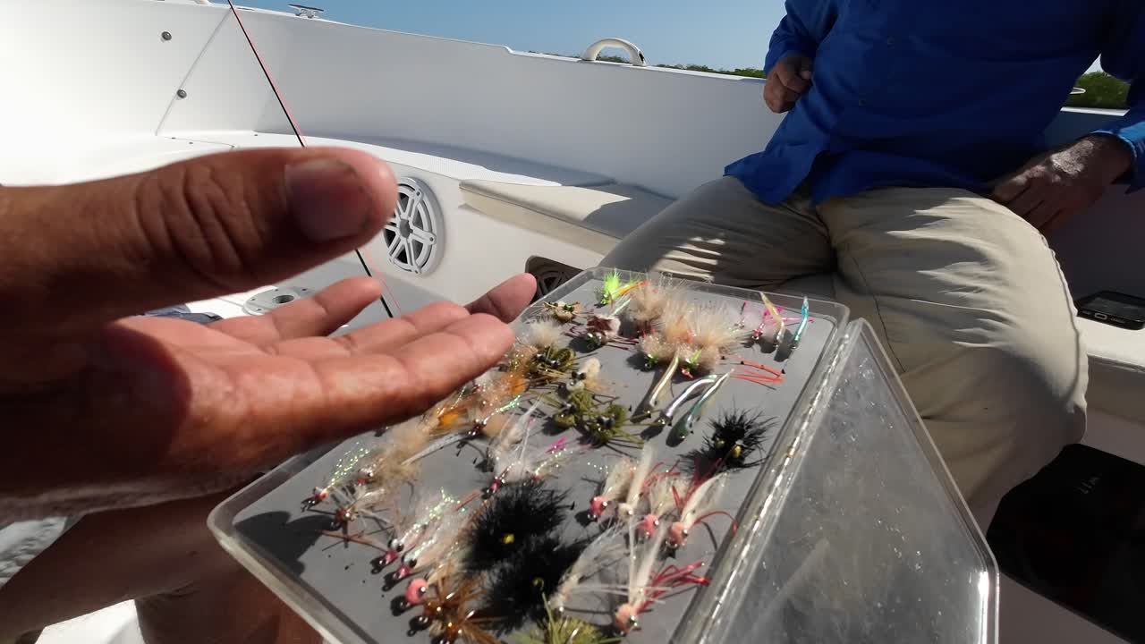 다양한 종류의 파리를 설명하고 이야기하는 시 가이드의 넓은 각도 근접 시각