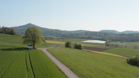 drone - aerial panorama shot of al lonely chapel on a field with grass and a road with an tractor and a panorama of the seven mountains - siebengebirge 30p