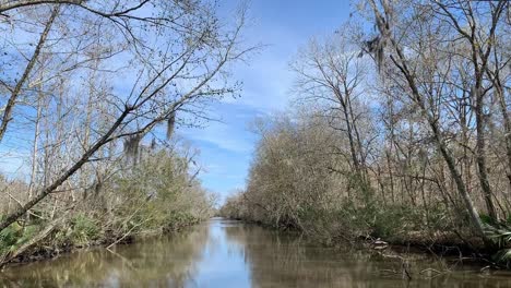 navegando por el bayou en louisiana en un pontón, atravesando un río muy tranquilo entre árboles casi simétricos