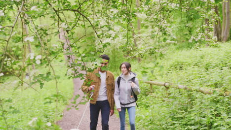 young couple hiking along path through trees in countryside with pet golden retriever dog on leash - shot in slow motion