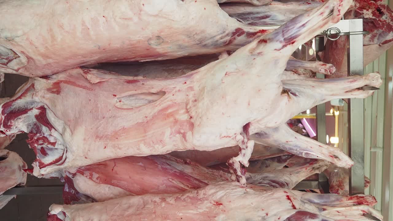 Hanging Lamb Carcasses