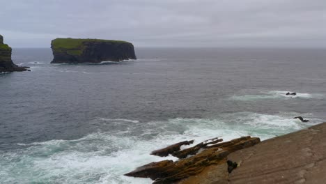 tomada de seguimiento dinámico del islote rocoso y la isla bishop en los acantilados de kilkee, condado de clare