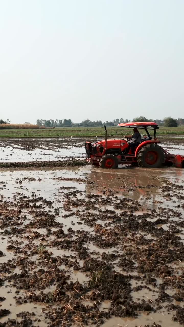 Tractor plowing a muddy rice field