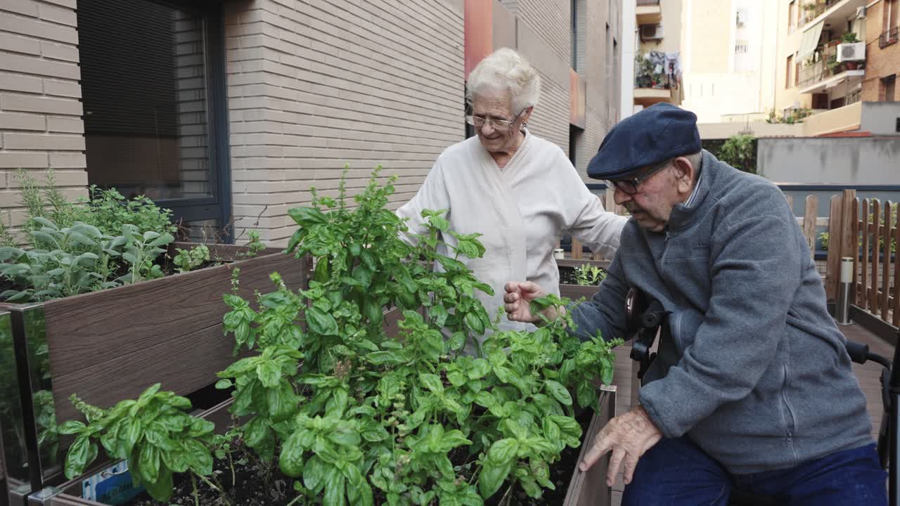Elderly couple gardening in a raised garden bed
