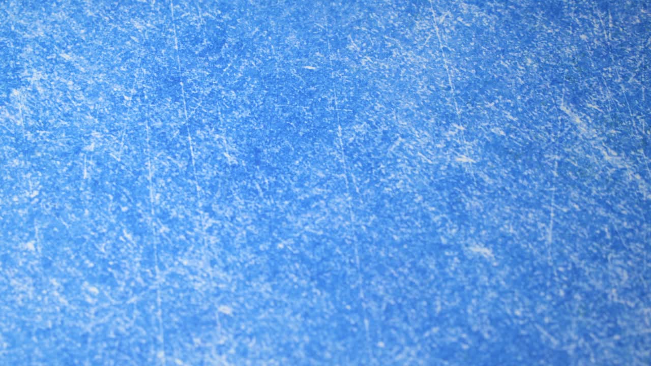 las semillas de cilantro se conservan en un cuenco