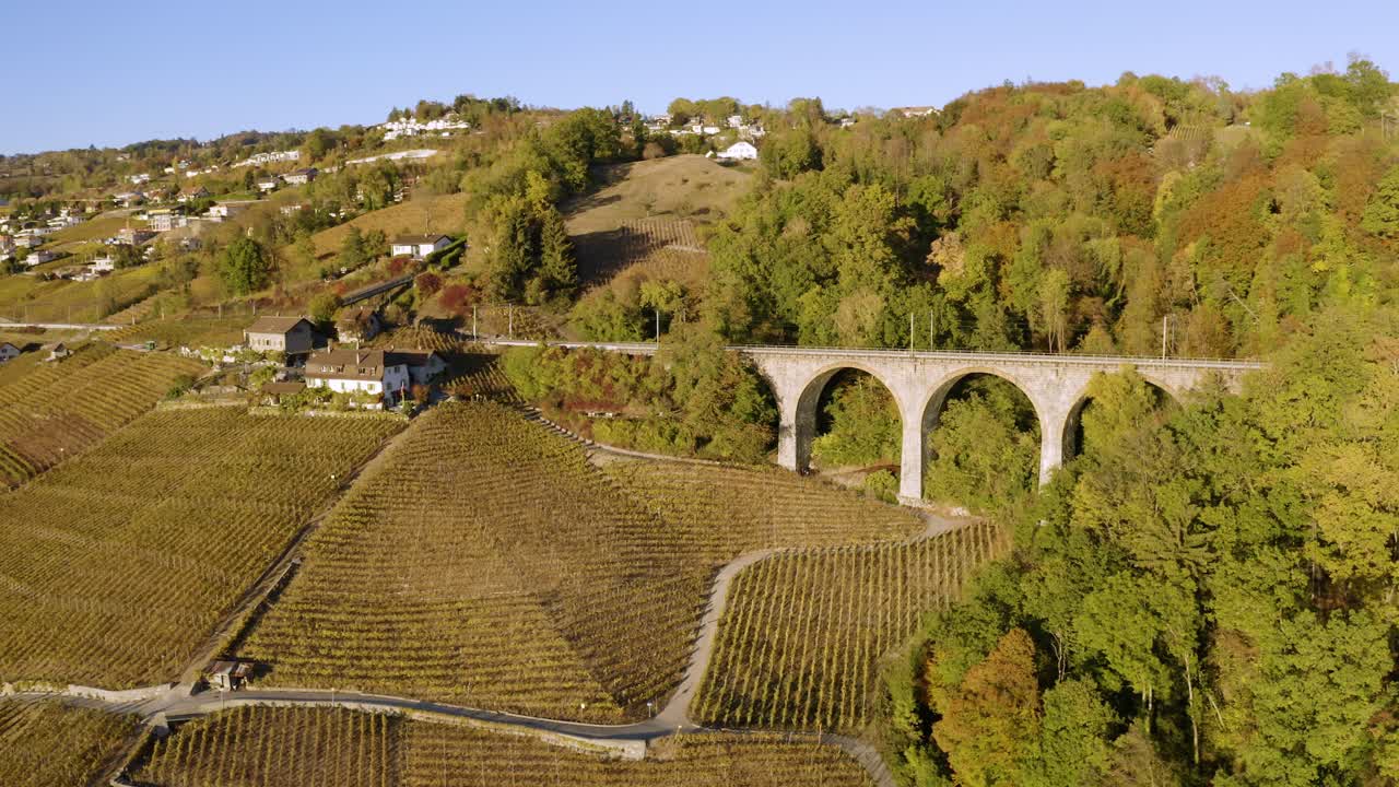órbita aérea frente al viaducto ferroviario "pont de bory" en el viñedo de lavaux, suiza