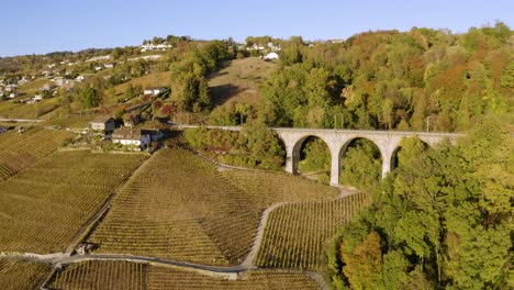 órbita aérea frente al viaducto ferroviario &quot;pont de bory&quot; en el viñedo de lavaux, suiza