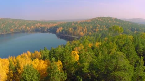 autumn forest landscape with lake