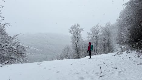 Person,-Die-Schweren-Schnee-In-Waldbergen-Betrachtet,-Die-Weite-Sicht-Auf-Die-Winterlandschaft-Im-Hyrkanischen-Wald-Bei-Schneefall,-Abenteuerwandern,-Trekkingsport,-Wunderbare-Reisen-In-Der-Wintersaison-Im-Iran