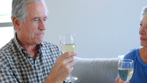 pareja de ancianos bebiendo vino blanco