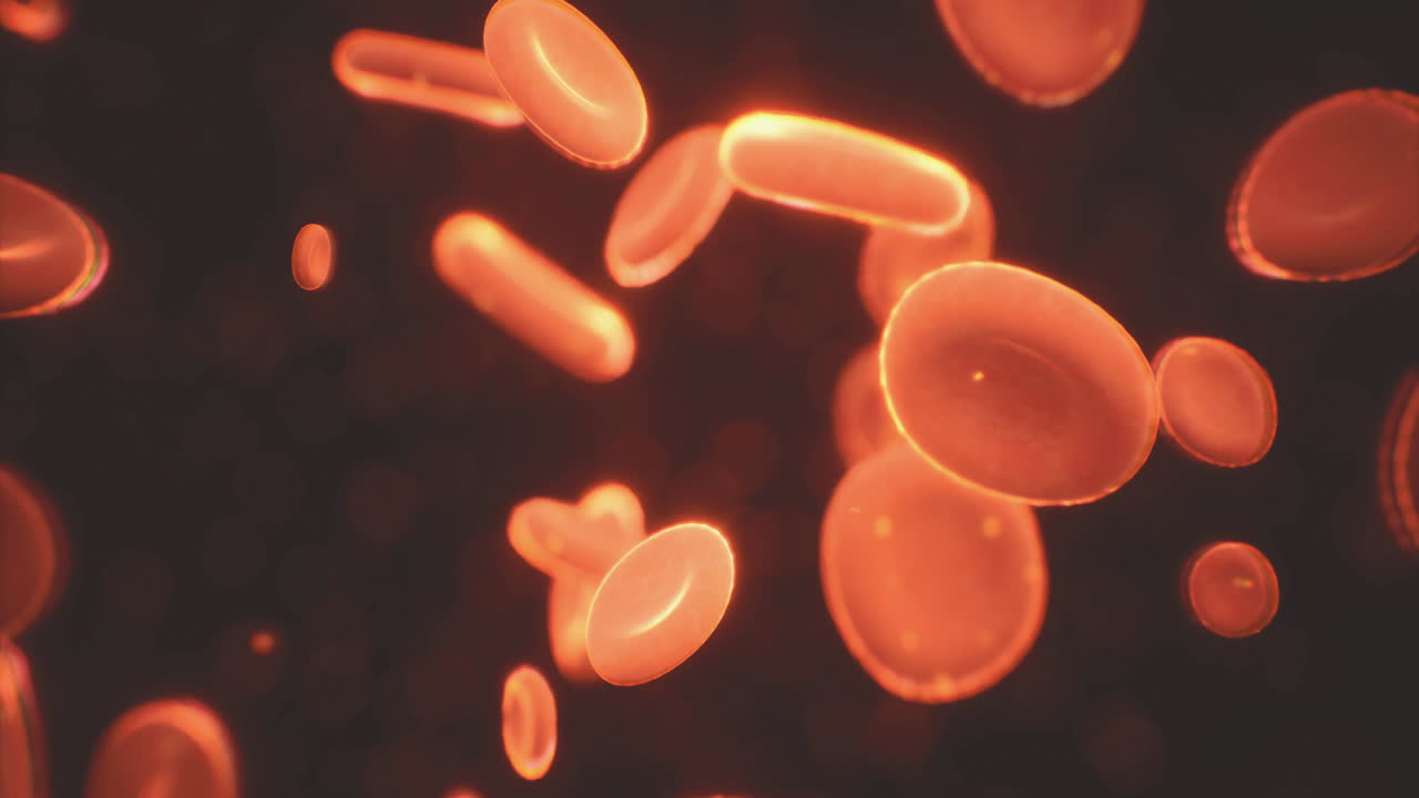 Exploring the vibrant world of micro blood cells in motion at night