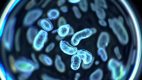 abstract microscopic view of cells