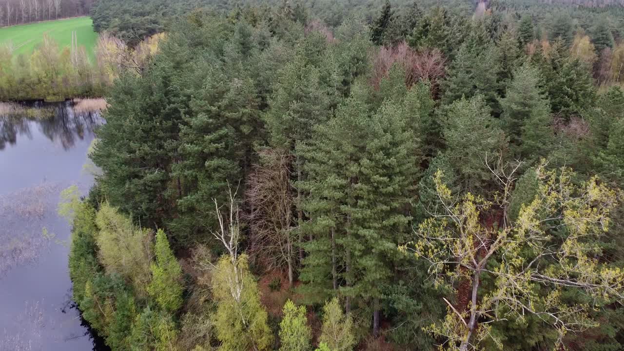 Scenic aerial shot: small island inside hidden lake in the belgian forest