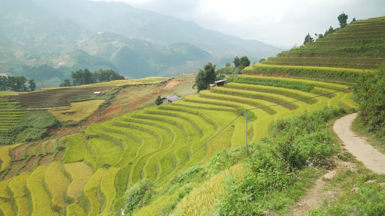 A dreamy landscape featuring flourishing terraced rice fields cascading along the mountainside against a cloudy sky. This scene portrays sustainable, traditional farming methods in North Vietnam.