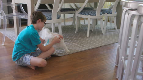 Un-Niño-Lindo-Juega-Con-Su-Maltipoo-Cerca-De-La-Mesa-Del-Comedor-Y-Luego-Lo-Persigue-Debajo-De-La-Mesa