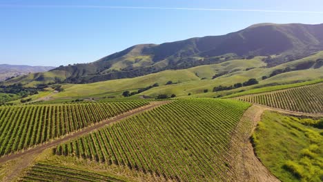 good aerial over the wine growing region of santa ynez vineyards in santa barbara county california