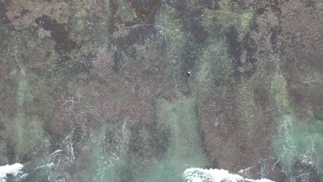 aerial view of a beach and coral reef with divers