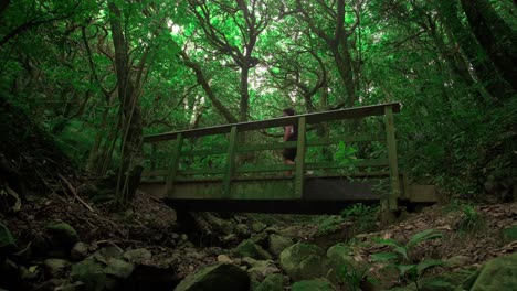 Joven-Caminando-En-El-Hermoso-Arbusto-De-Nueva-Zelanda