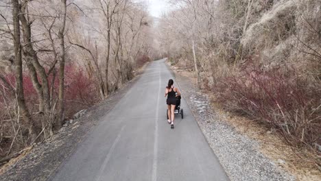 Corredor-Femenino-Empujando-El-Cochecito-Mientras-Corre-En-El-Camino-Al-Aire-Libre---Antena