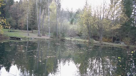 Rising-shot-of-a-pond-with-reflections-in-slow-motion