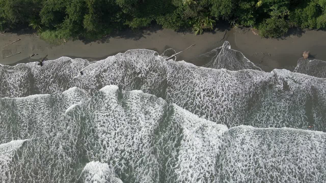 AERIAL - Beautiful waves crash on empty beach with green trees