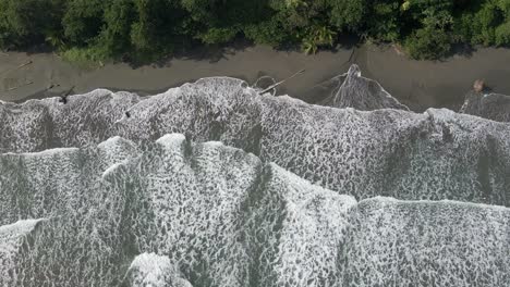 aerial - beautiful waves crash on empty beach with green trees