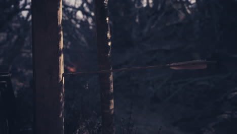 arrow stuck in wooden post in the forest