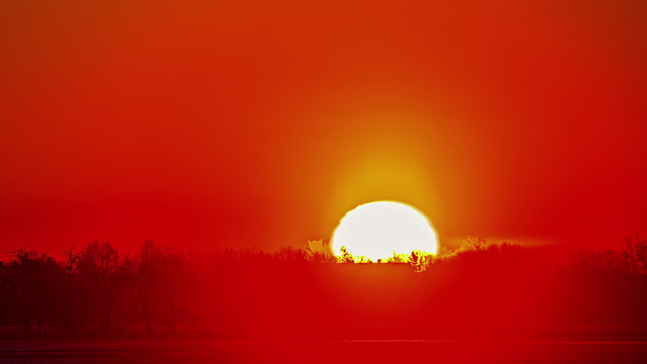 나무 스탠드 뒤에 떠오르는 둥근 노란 태양 구의 망원 샷