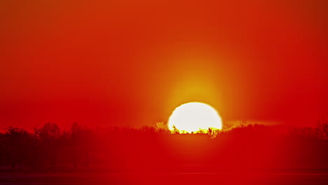 toma telescópica de un orbe de sol amarillo redondo que se eleva detrás de un grupo de árboles