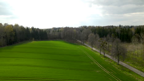 Exuberantes-Campos-Verdes-Rodeados-De-Bosques-En-El-Campo-Polaco