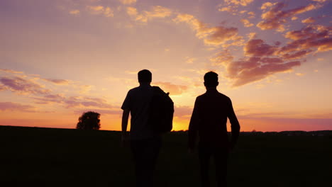 father and son are walking along the field at sunset