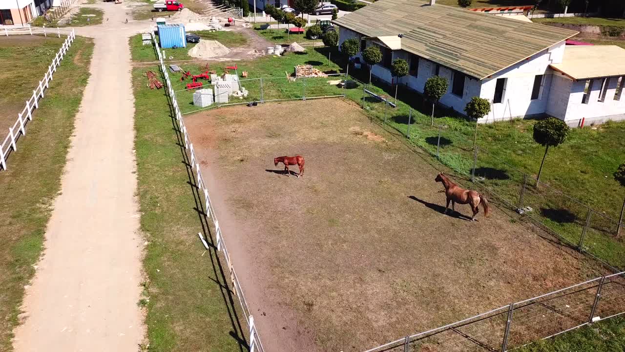 Aerial view of horses in a tranquil paddock, on a sunny day