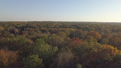 Aerial-view-of-colorful-trees-during-a-sunny-fall-day-with-a-little-haze-in-the-air