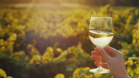 hand with a glass of white wine on the background of the vineyard the setting sun beautifully illumi