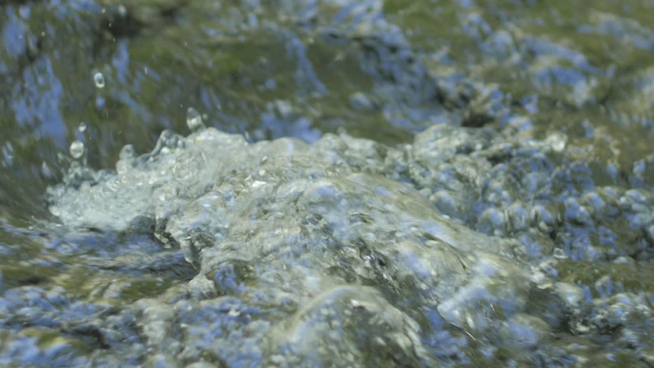 Forest stream running close up on water waves
