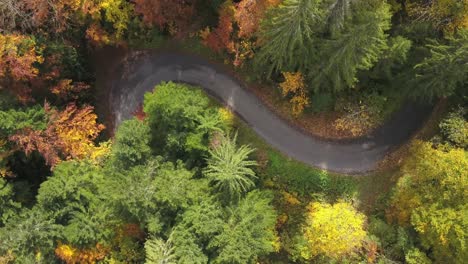 curved serpentine road in autumn forest during foliage season