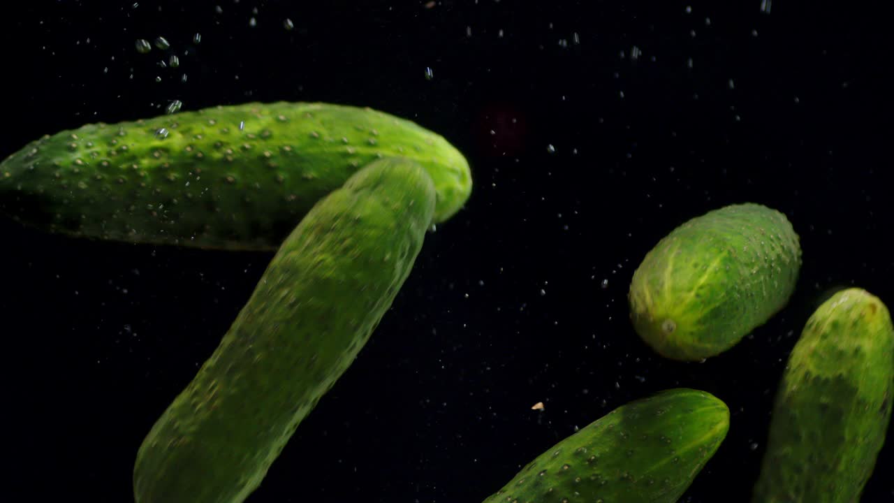 오징어는 공기 거품으로 물에 떨어집니다.