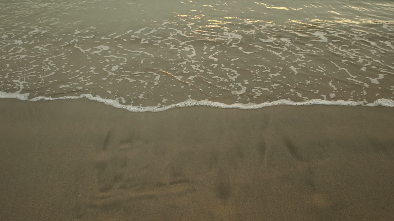 모래 위에 떠다니는 조류