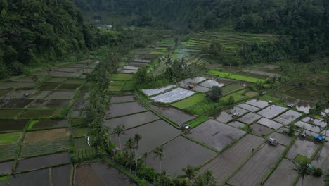 Rice-fields-filled-with-patches-of-water-on-an-overcast-afternoon-in-Bali,-aerial