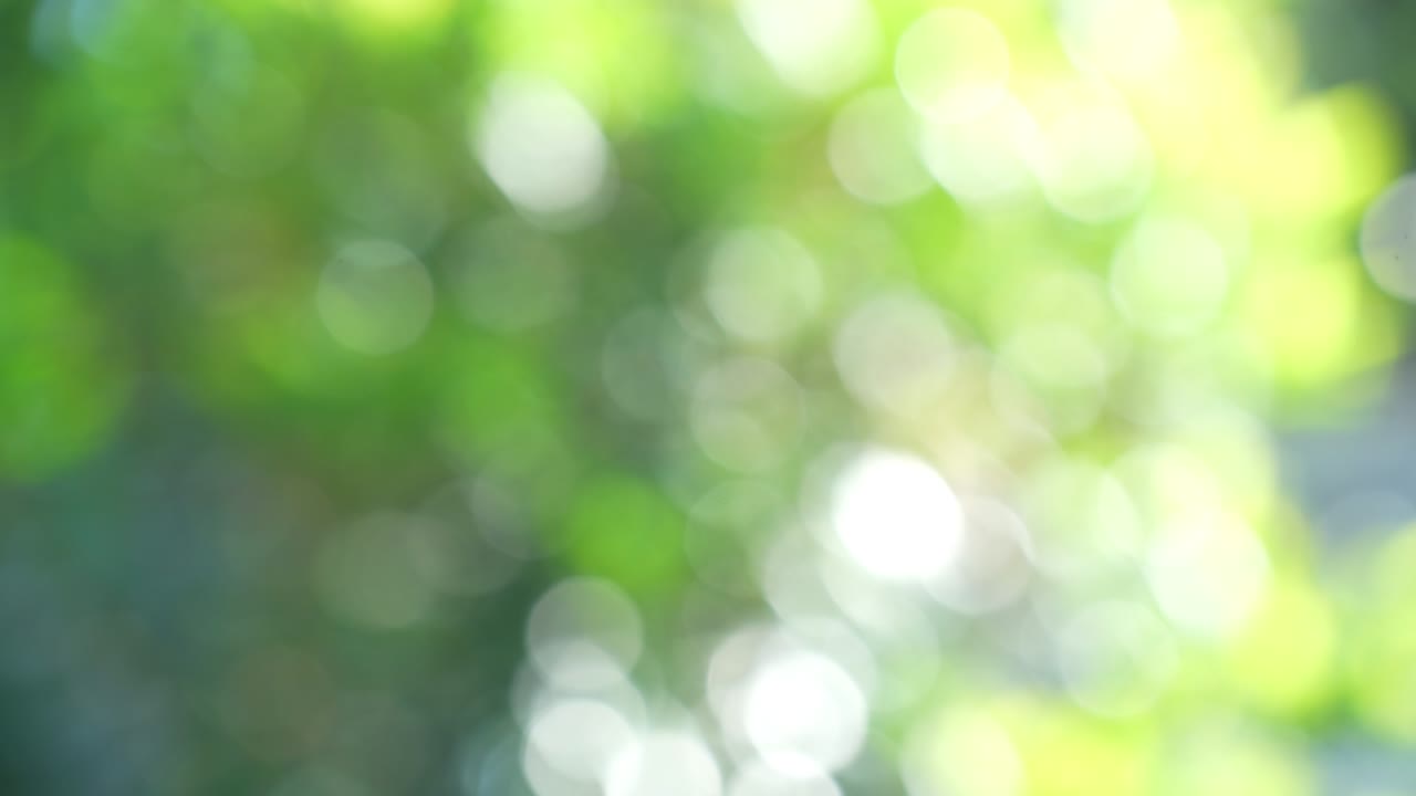 hermoso jardín natural verde fondo borroso, borroso verde bokeh luz jardín natural al aire libre, 4k.