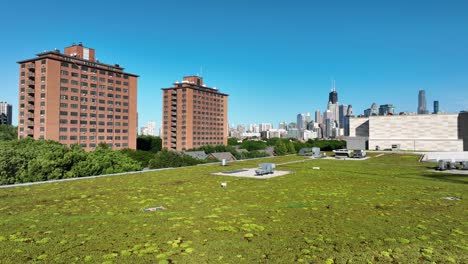 techo verde en el centro de chicago, illinois
