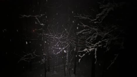heavy snow in forest dark night nature adventure in iran landscape cold winter season beautiful freezing blizzard tree snowfall icy storm weather white wonderland outdoors in rural village countryside