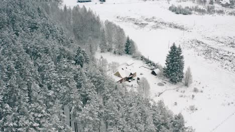 Vista-Aérea-De-Pinos-Cubiertos-De-Nieve-Y-Paisaje-Con-Algunas-Casas-Cubiertas-De-Nieve