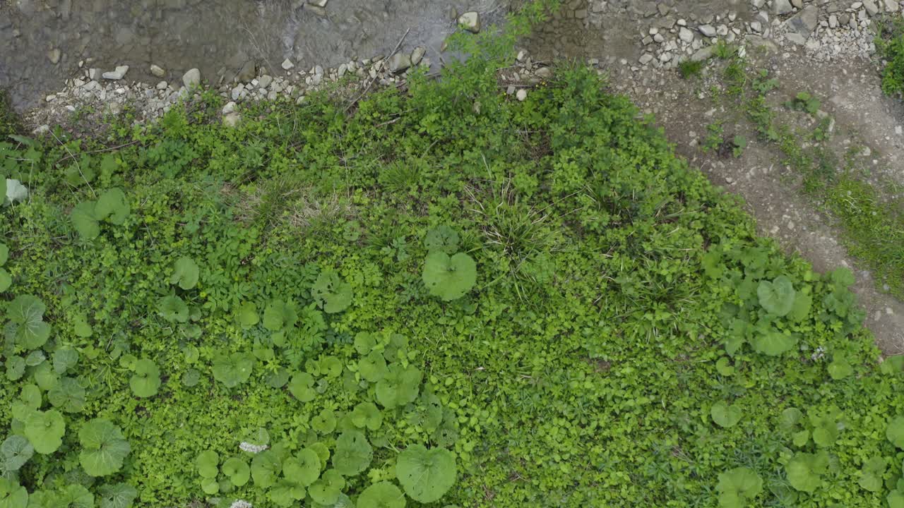 푸른 숲과 작은 강에 대한 조감도