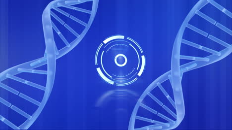 animación de escáner redondo y estructuras de adn giratorias contra un fondo azul