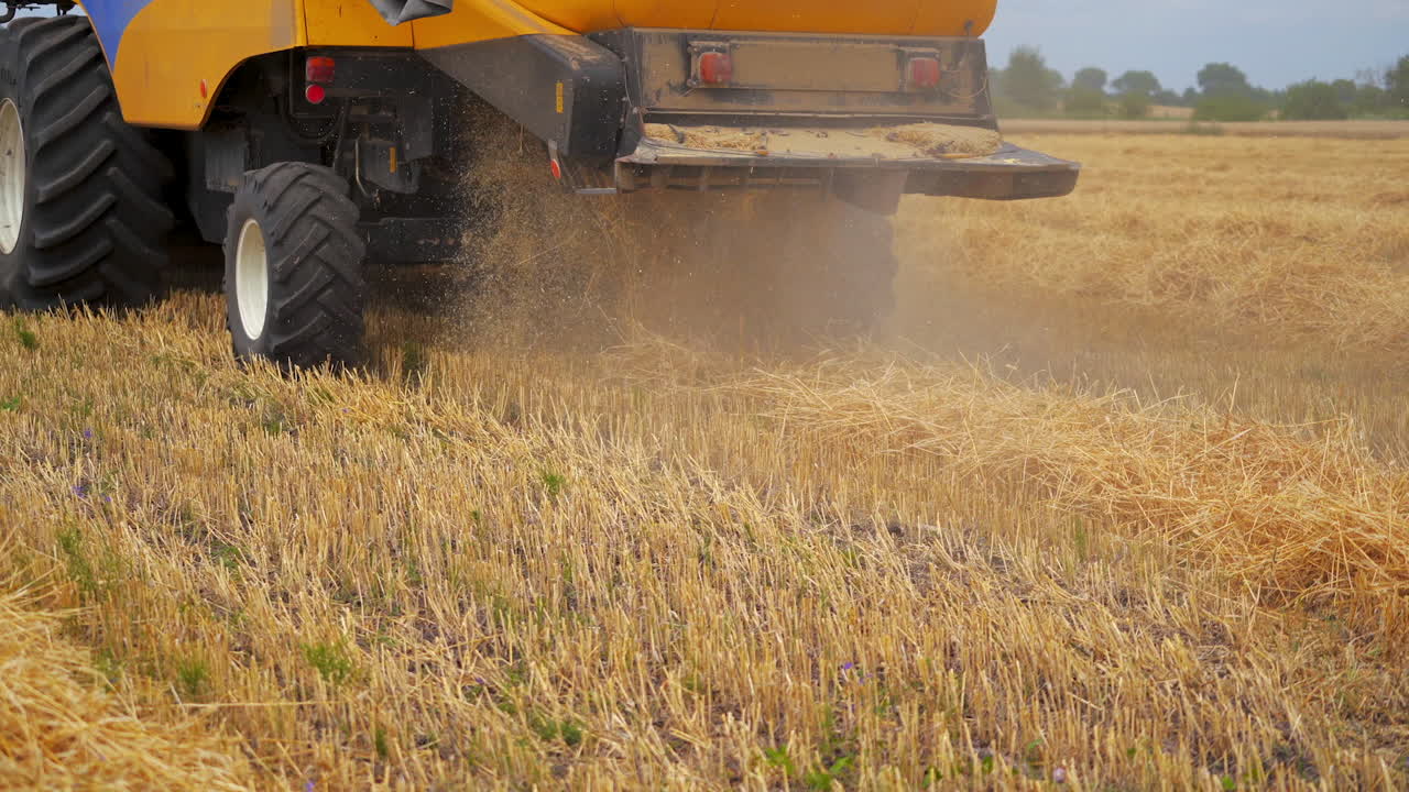 Detail of combine harvesting golden dry wheat in field. Yellow combine gathering crop in summer.