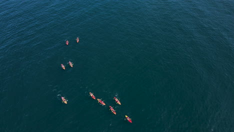 Vista-Aérea-De-Alto-ángulo-Sobre-Kayakistas-Remando-En-Mar-Abierto,-Actividad-Marina