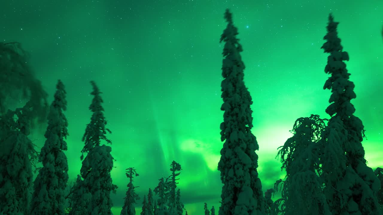 Norrsken över frusen skogsmark i Sverige