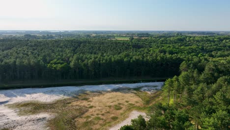 Schöne-Ländliche-Holländische-Landschaft-Und-Grüner-Wald