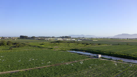 La-Parada-Número-1-Para-Aves-Migratorias